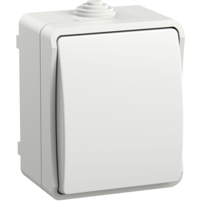 Выключатель проходной 1-кл. IEK EVS10-K01-10-54-DC ОП Форс IP54 ВС20-1-0-ФБ